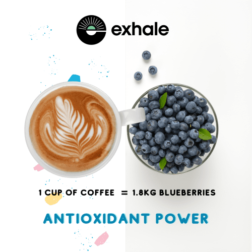 ExhaleHealthyCoffeeOrganicCoffee AntioxidantRichCoffee